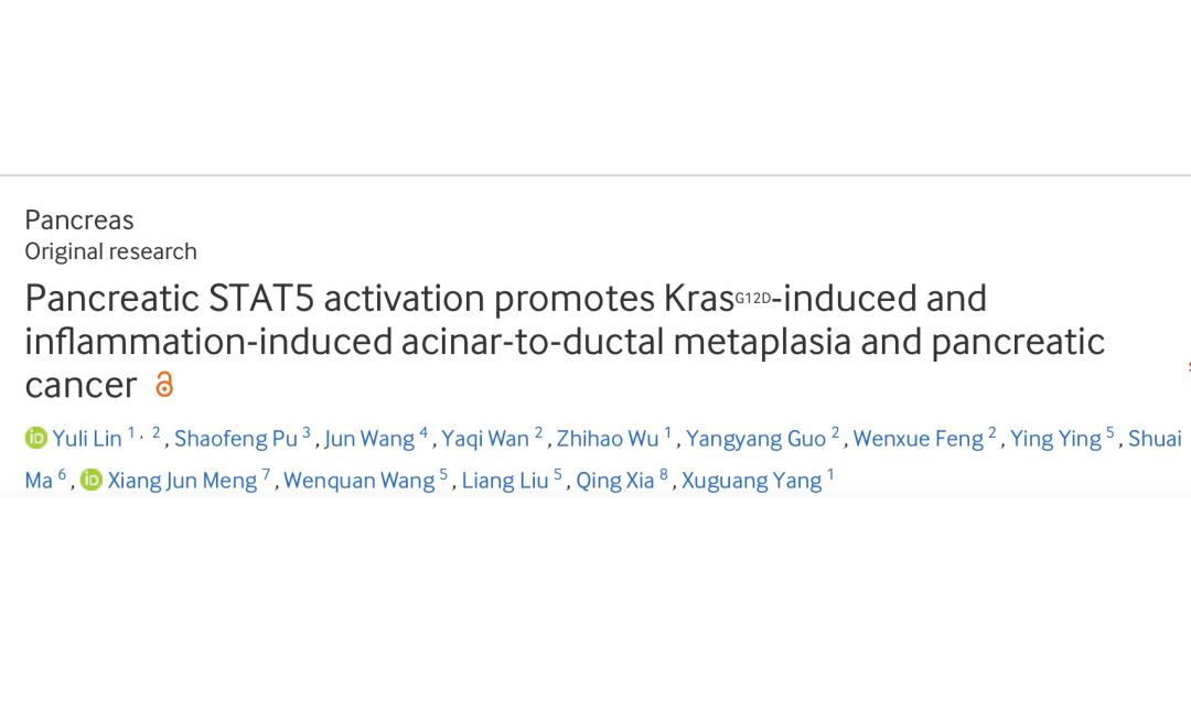 龙华医院杨旭光团队在消化领域权威杂志Gut发文揭示胰腺癌起始发病新机制